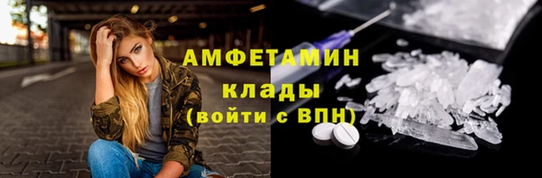 сатива Пересвет
