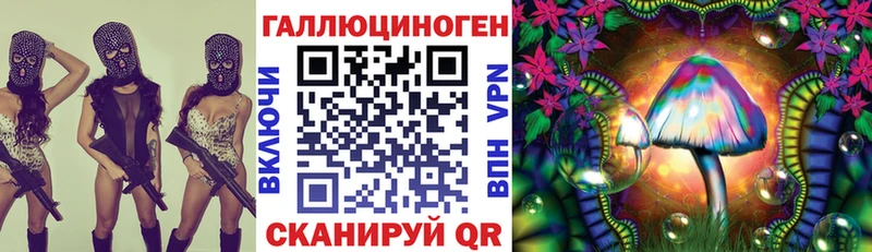 Галлюциногенные грибы Psilocybine cubensis  как найти наркотики  Ковров 