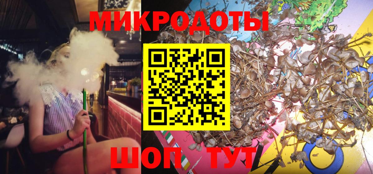 Ковров  Псилоцибиновые грибы Psilocybine cubensis  Вход с VPN 